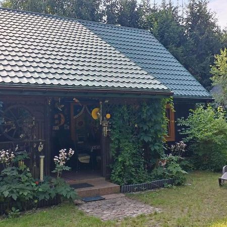 Domek Caloroczny U Zosi Ptaki エクステリア 写真